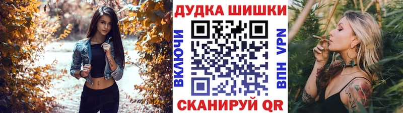 Купить закладки  Снежногорск  Шишки марихуана марихуана 